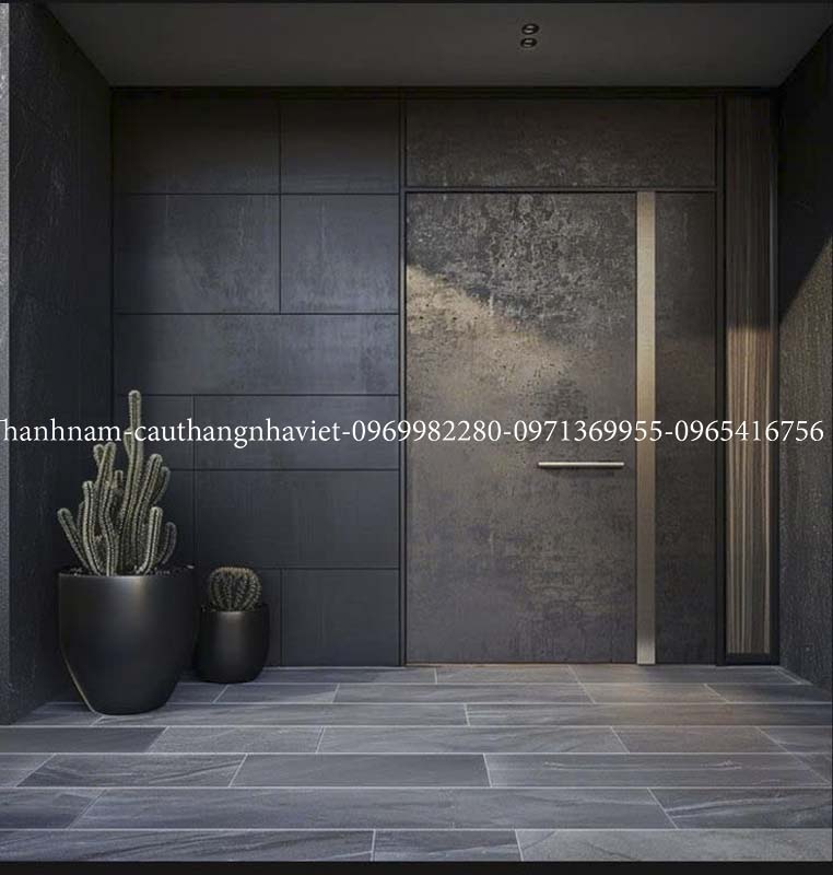 cửa chính biệt thự ms2o